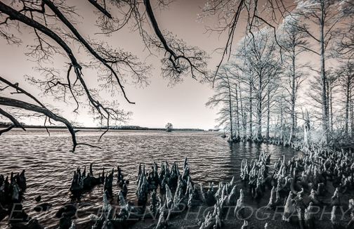 Chickahominy Jamestown Eric-9341HDR-2
