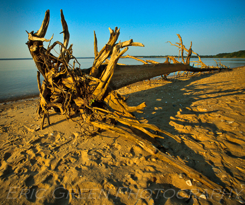 Eric Green Weathered-2